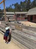 Curious Minds at the Zoo