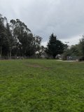 Serene Nature at the Baseball Field