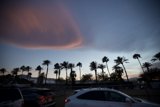 Cloudy Palm Trees