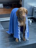 Wrapped Up and Cozy