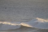 Mastering the Mavericks: A Spectacular Surf