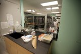 Laboratory Work in Progress