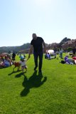 Summer Days: Man's Best Friend in the Great Outdoors