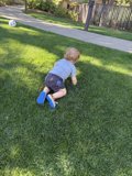 Afternoon Playtime in Carmel