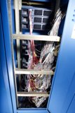 Wired for Success