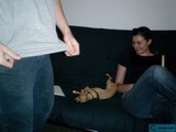 Relaxing on the Couch with a Furry Companion