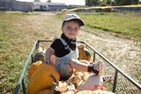 Autumnal Adventure: Pumpkin Extravaganza
