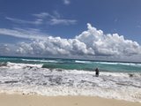 Serenity at the Shoreline