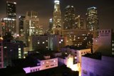 Purple Lights Illuminate City Skyline
