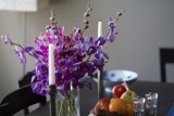 Purple Splendor