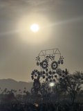 Sunlit Spectacle at Empire Polo Club