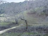Tranquil Winter Trail