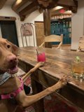 Table for Two