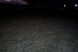 Nighttime Truck in the Grass