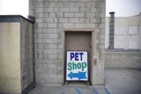 Pet Shop Haven