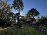 Serene Japanese Tea Garden