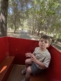 A Moment in the Grove