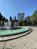 Serenity in the City