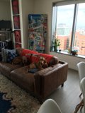 Cozy Brown Leather Couch in a Chic Living Room