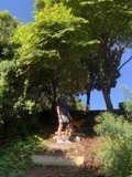A Moment in Golden Gate Park