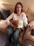 Cozy afternoon on the couch with my furry friend