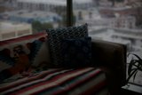 Cozy Corner