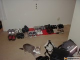 Feline Footwear Fiend