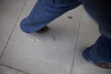 The Lone Shoe