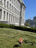 Playtime at San Francisco City Hall