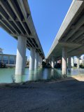 Bridges and Cars in San Francisco