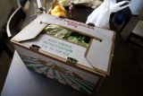 Fresh Lettuce in a Sturdy Carton