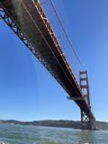 Golden Gate Bridge Standing Tall