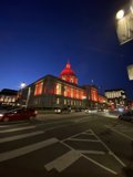 Bright Lights of the City