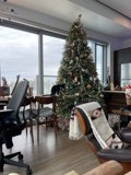 Christmas Cheer in a San Francisco Living Room