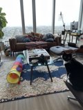 Feline Comfort in the Living Room