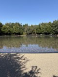 Tranquility at Apple Park