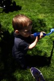 Summer Days at Delores Park: Frisbee Fun