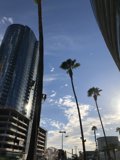 Skyline of a Metropolis