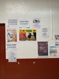 A Mosaic of Posters and Signs in Mercado de Coyoacan