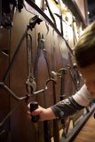 Little Handyman: Wesley's Adventures in the Exploratorium, 2024