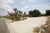 Driveway Path with Desert Scenery