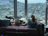 Paws and relax: Couch time with our furry friends