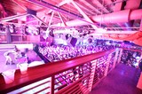 Massive Crowd Packed Under Pink Lights at Wobbleland