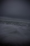 Soaring Above the Winter Ocean