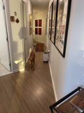 Canine Art Connoisseur