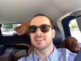 Man's Best Friend on a Summer Drive