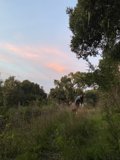 Riding into the Dusk
