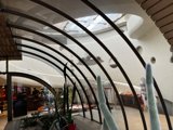 A Cactus Oasis in a Glass Arch