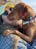 Love in the Sun