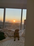 Sunset Snooze